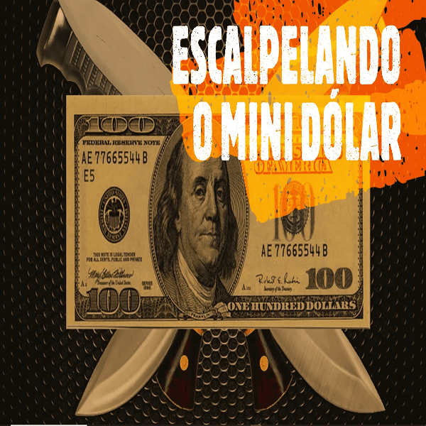 Pio Trader - Escalpelando o Mini Dólar